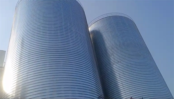 蓬江2座混凝土高架卷板仓